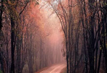 买股票用什么app:炒股十倍杠杆是什么意思-又一家IPO暂缓审议 泰金新能业绩会否大幅下滑被重点关注